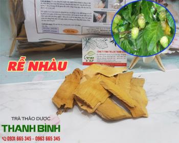 Mua bán rễ nhàu ở huyện Hóc Môn chữa bệnh về đường tiêu hóa