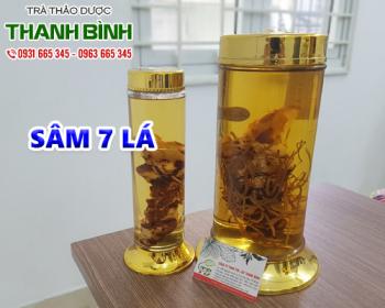 Mua bán sâm 7 lá ở quận Tân Bình làm giảm sưng tấy do té ngã