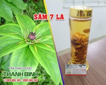 Mua bán sâm 7 lá tại huyện Thanh Oai dùng để tiêu viêm và giảm sưng