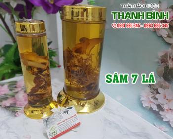 Mua bán sâm 7 lá tại huyện Thanh Trì có thể giảm sưng tấy do té ngã