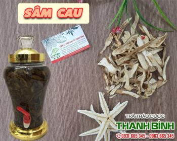 Mua bán sâm cau ở quận Tân Phú giúp bổ thận và tráng dương