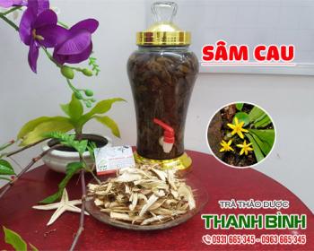 Mua bán sâm cau tại quận Thanh Xuân cải thiện chứng sinh tinh ít