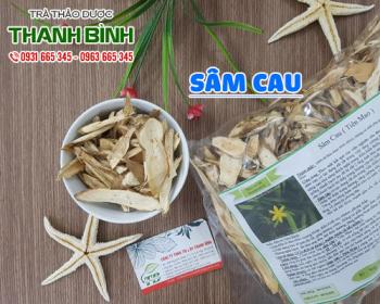 Mua bán sâm cau tại huyện Ứng Hòa có công dụng giúp kháng viêm