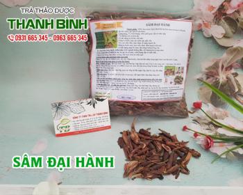 Mua bán sâm đại hành tại huyện Thanh Oai hỗ trợ chữa bệnh viêm đại tràng