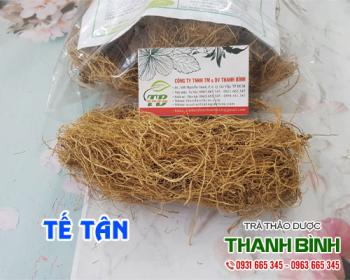 Mua bán tế tân tại huyện Thanh Trì giúp làm dịu cơn ho và long đờm