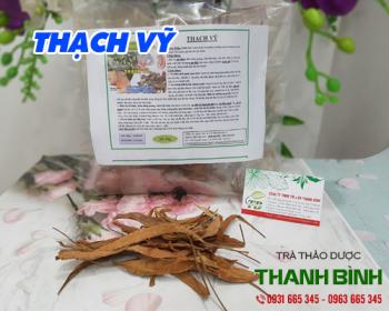 Mua bán thạch vỹ ở quận Tân Phú giúp điều trị viêm niệu đạo