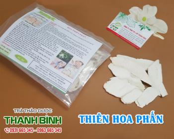 Mua bán thiên hoa phấn tại huyện Thanh Trì có tác dụng điều trị viêm họng