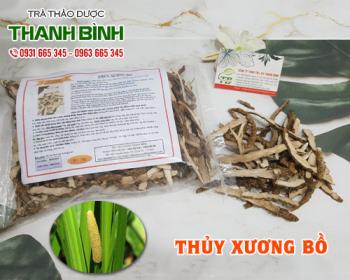 Mua bán thủy xương bồ tại huyện Thanh Oai sử dụng giúp điều trị giun sán