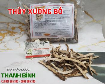 Mua bán thủy xương bồ ở quận Phú Nhuận chữa bệnh viêm phế quản