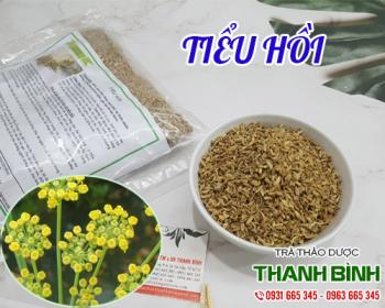 Mua bán tiểu hồi ở huyện Hóc Môn cung cấp các chất dinh dưỡng