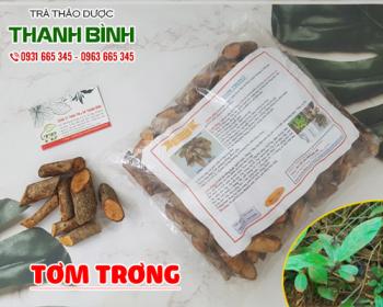 Địa điểm bán tơm trơng tại Hà Nội trong chữa gout và yếu sinh lý tốt nhất