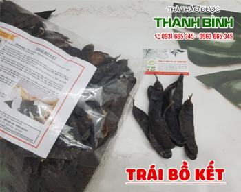 Mua bán trái bồ kết tại huyện Thanh Oai được sử dụng làm nước gội đầu