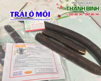 Mua bán trái ô môi ở quận Phú Nhuận giúp nhuận tràng, giảm đau nhức mỏi