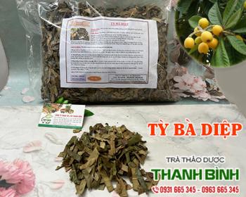 Mua bán tỳ bà diệp tại huyện Thanh Oai có tác dụng điều trị đầu váng