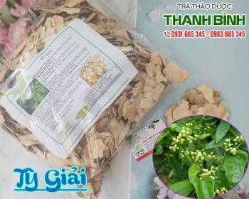Mua bán tỳ giải ở quận Tân Phú điều trị mụn rất hiệu quả