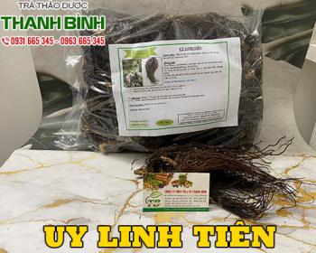 Mua bán uy linh tiên ở quận Phú Nhuận hỗ trợ điều trị bệnh sỏi mật rất tốt
