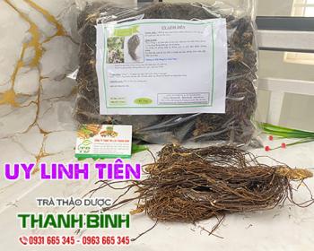 Mua bán uy linh tiên tại huyện Thanh Oai có tác dụng điều trị phong thấp