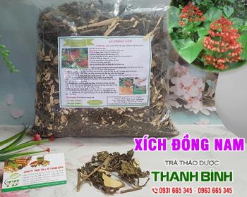 Mua bán xích đồng nam tại huyện Thanh Oai hỗ trợ điều trị khí hư rất tốt