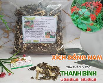 Mua bán xích đồng nam tại Hà Giang có tác dụng điều trị khí hư rất tốt