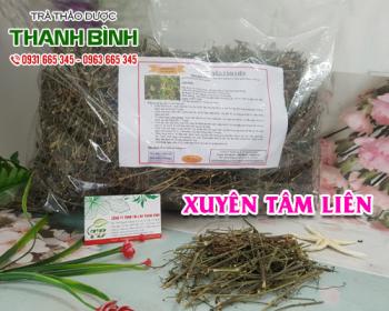 Mua bán xuyên tâm liên tại huyện Thanh Trì sử dụng giúp bảo vệ tim mạch