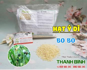 Mua bán hạt ý dĩ ở quận Phú Nhuận rất bổ dưỡng cho cơ thể